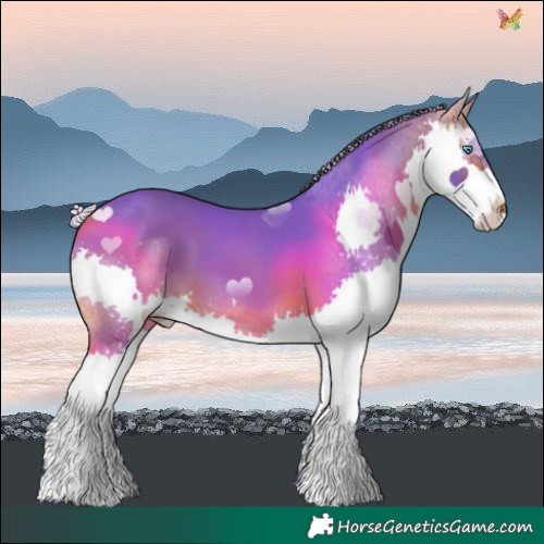 Horse Color:Watercolor Silver Bay Splash 