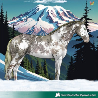 Horse Color:Watercolor White Spotted Gold Champagne Ice Dun Splash Rabicano