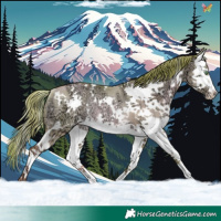 Horse Color:Watercolor White Spotted Gold Champagne Ice Dun Splash Rabicano 