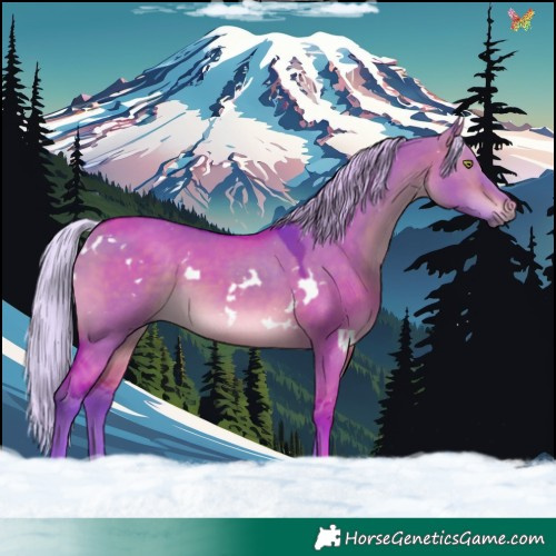 Horse Color:Watercolor White Spotted Silver Bay Dun 