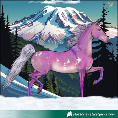 Horse Color:Watercolor White Spotted Silver Bay Dun 