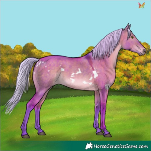Horse Color:Watercolor White Spotted Silver Bay Dun 