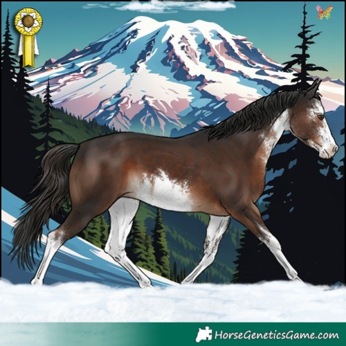 Horse Color:White Spotted Liver Chestnut 