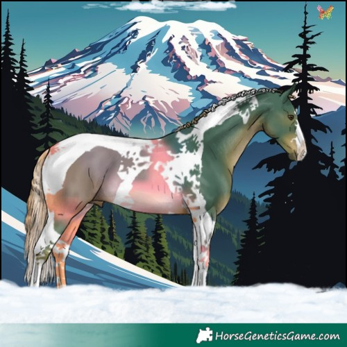 Horse Color:Watercolor Liver Chestnut Tobiano 