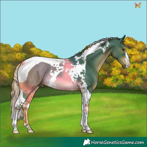 Horse Color:Watercolor Liver Chestnut Tobiano 