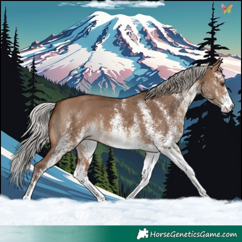 Horse Color:White Spotted Silver Brown Dun 