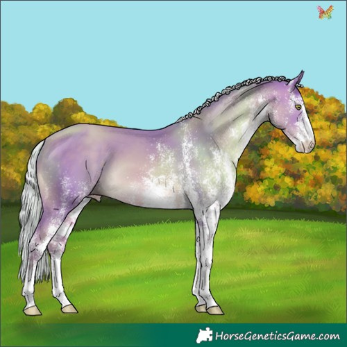 Horse Color:Watercolor White Spotted Silver Sable Champagne 