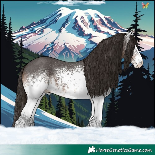 Horse Color:White Spotted Liver Chestnut Sabino 