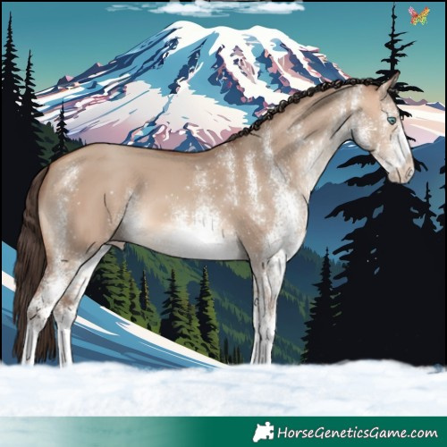 Horse Color:White Spotted Amber Champagne Dun 