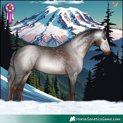 Horse Color:Gray Liver Chestnut 