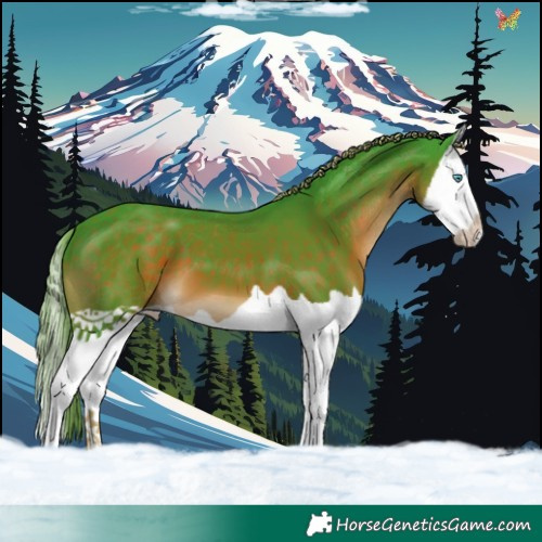 Horse Color:Watercolor Liver Chestnut Splash 