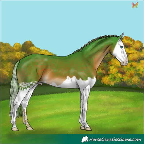 Horse Color:Watercolor Liver Chestnut Splash 