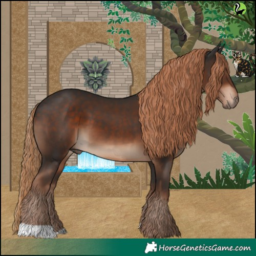 Horse Color:Liver Chestnut 