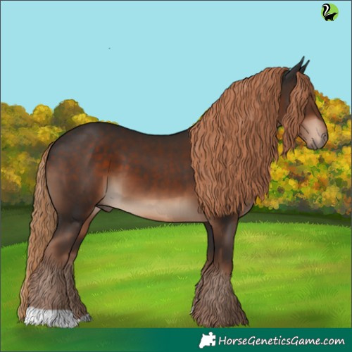 Horse Color:Liver Chestnut 