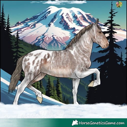 Horse Color:Liver Chestnut Ice Tobiano Blanket 
