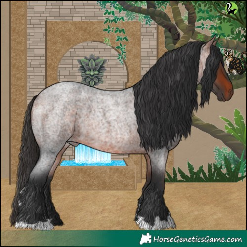 Horse Color:Bay Roan 