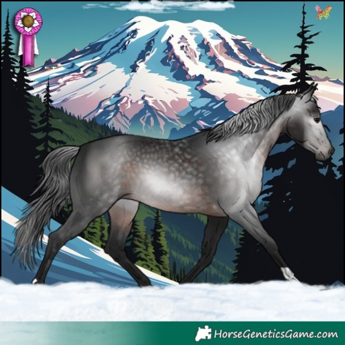Horse Color:Gray Brown 