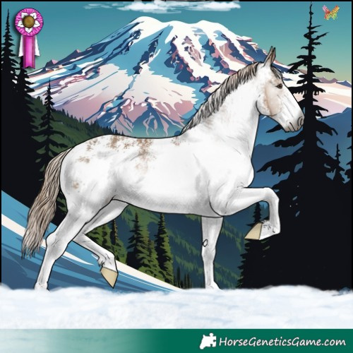 Horse Color:Gray White Spotted Liver Red Dun 