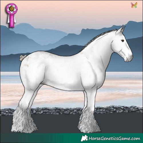 Horse Color:Gray White Spotted Liver Red Dun 