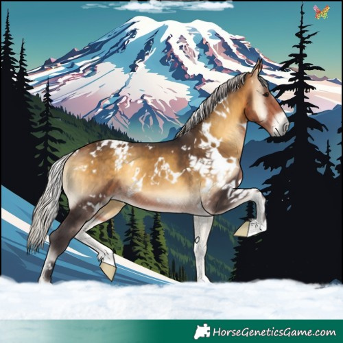 Horse Color:White Spotted Silver Buckskin Onyx 