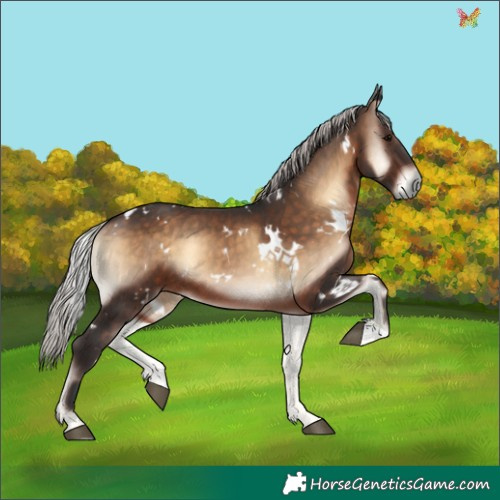 Horse Color:White Spotted Silver Brown Onyx 