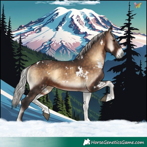 Horse Color:White Spotted Silver Brown Onyx 