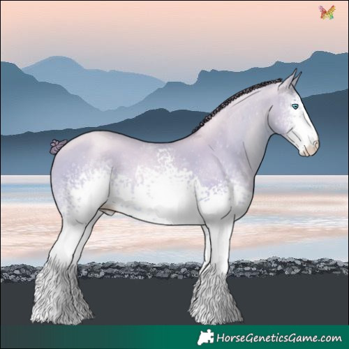 Horse Color:White Spotted Amber Cream Champagne Pearl Dun 