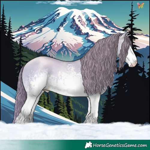 Horse Color:White Spotted Amber Cream Champagne Pearl Dun 