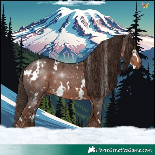 Horse Color:White Spotted Liver Chestnut 