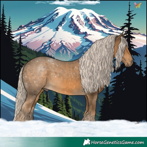 Horse Color:Chocolate Palomino 