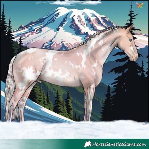 Horse Color:Watercolor White Spotted Silver Buckskin Pearl 