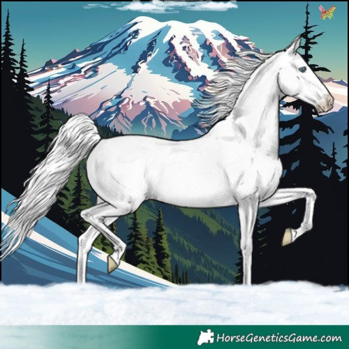 Horse Color:White Spotted Cremello Dun Splash 