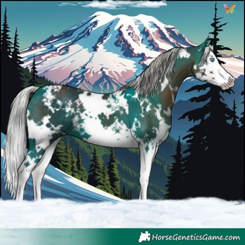 Horse Color:White Spotted Silver Brown Splash 