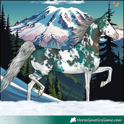 Horse Color:White Spotted Silver Brown Splash 