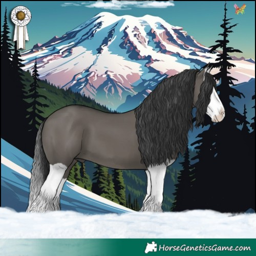 Horse Color:Grullo Splash 