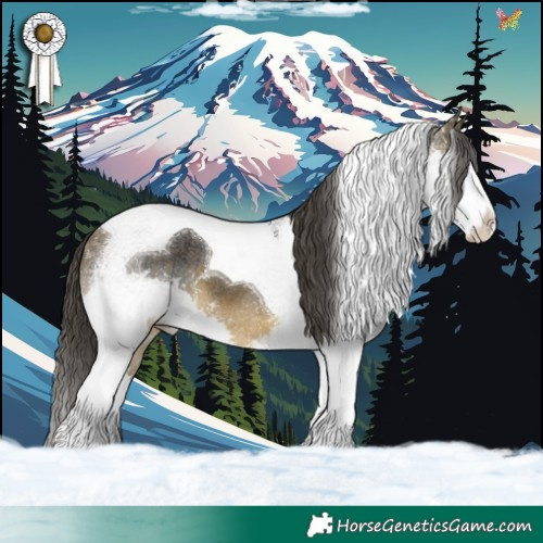 Horse Color:Buckskin Splash Tobiano 
