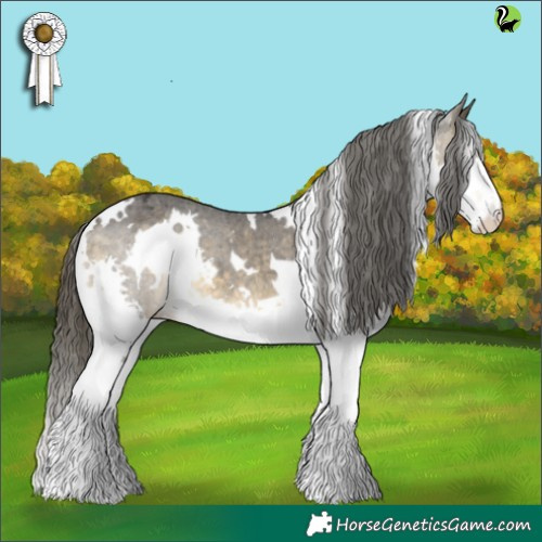 Horse Color:White Spotted Buckskin Splash Appaloosa 