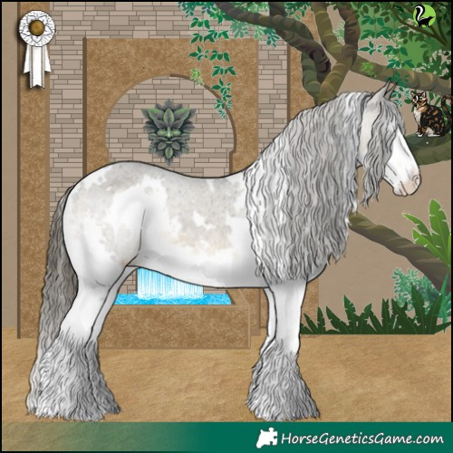 Horse Color:White Spotted Buckskin Splash Appaloosa 