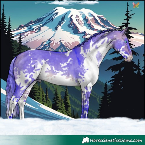 Horse Color:Watercolor White Spotted Buckskin Dun Splash Tobiano 