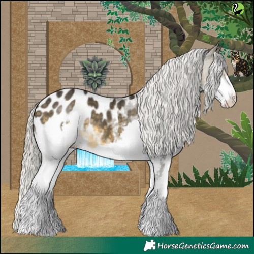 Horse Color:Silver Buckskin Splash Appaloosa 