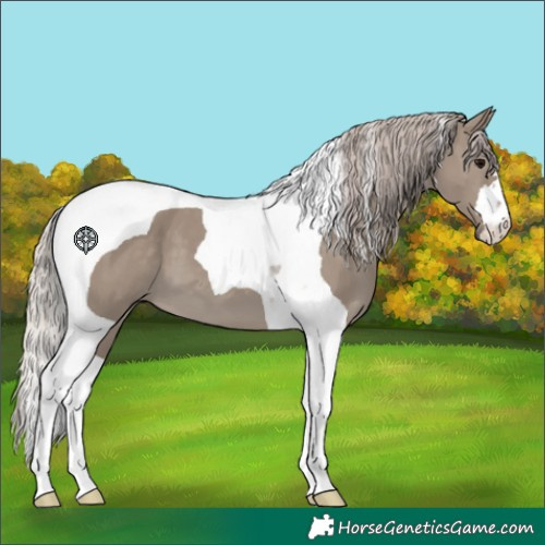 Horse Color:Silver Grullo Tobiano 