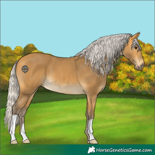 Horse Color:Silver Buckskin 