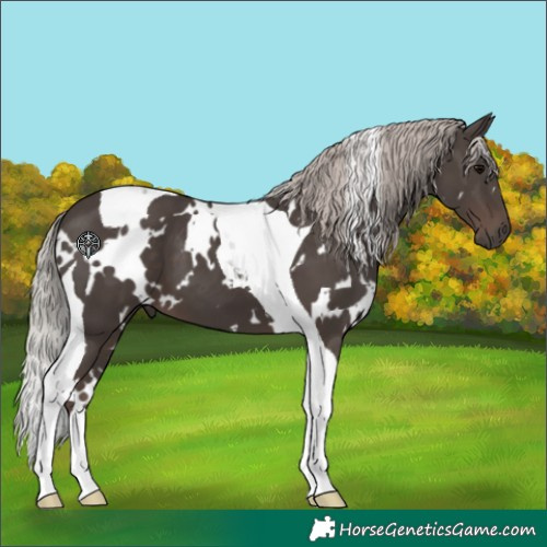 Horse Color:White Spotted Silver Black Tobiano 