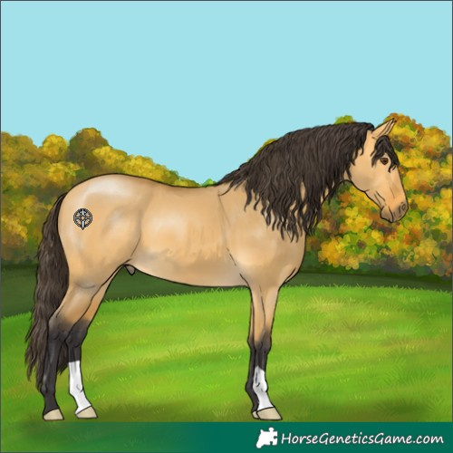 Horse Color:Buckskin Dun 