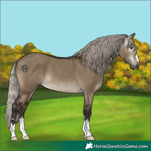 Horse Color:Gray Silver Brown Dun