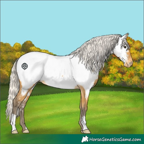 Horse Color:Silver Buckskin Near Fewspot 