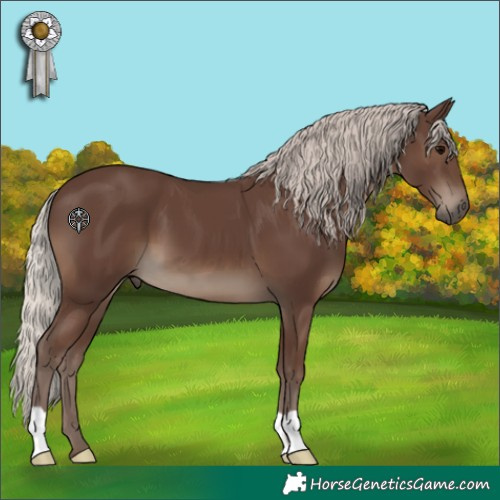 Horse Color:Silver Black 