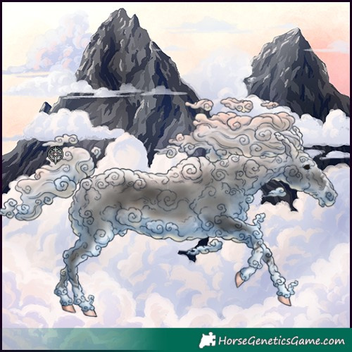 Horse Color:Gray Silver Black 