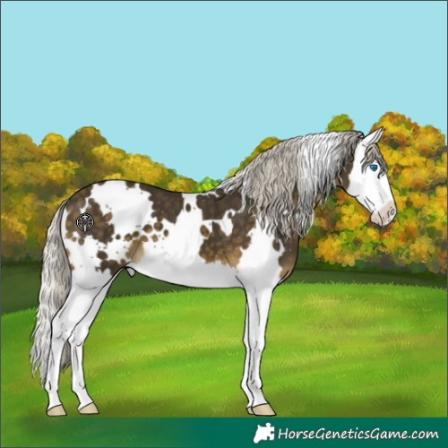 Horse Color:White Spotted Silver Buckskin Splash 