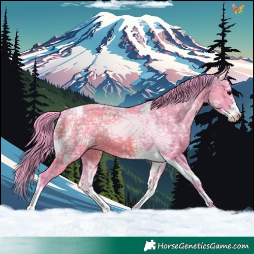 Horse Color:Watercolor Grullo Ice Splash Tobiano 